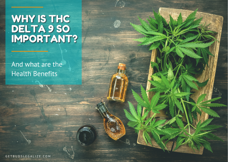 The Health Benefits Of THC DELTA 9, Buds, Everything You Need To Know, cannabis, marijuana, weed, pot, growing, flowering