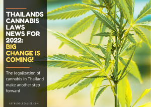 Thailands Cannabis Laws News for 2022:cannabis, marijuana, weed, pot, plant, medical
