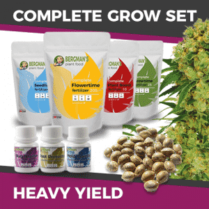 ILGM Marijuana Growing kit-Bundles - High Yield [Direct Link]