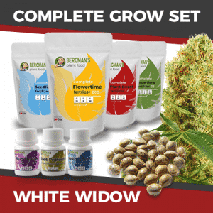 ILGM Marijuana Growing kit-Bundles - White Widow [Direct Link]