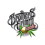 Brothers-Grimm-Seeds