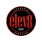 Elev8-Seeds