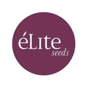 Elite-Seeds