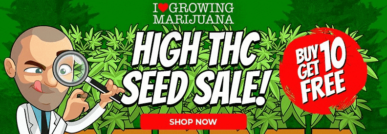 ilgm gif banner cannabis seeds, marijuana, I love, growing, ilovegrowingmarijuana