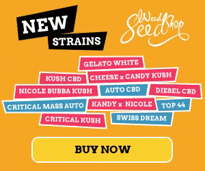 WEEDSEEDSHOP BANNER