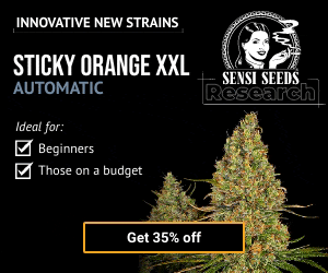 SENSI SEEDS BANNER