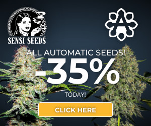 sENSI sEEDS aUTOMATIC SEEDS BANNER OFFER