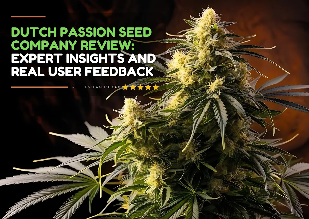 Dutch Passion Seed Company Review: User Experiences, and More