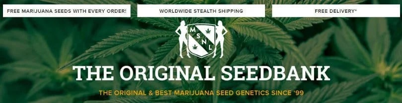 msnl seed bank banner, weed, marijuana, cannabis seeds for sale