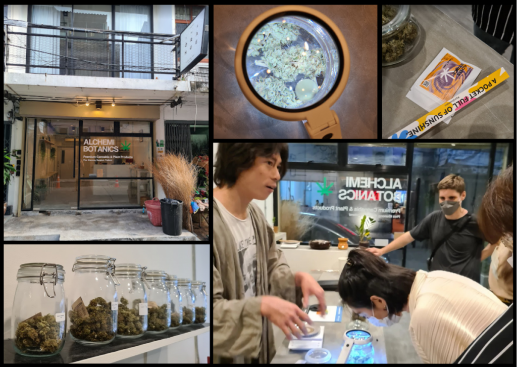 Alchemi Botanics Cannabis, Bangkok Dispensary, thailand