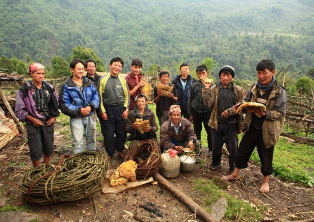 mAD honey hunters nepal