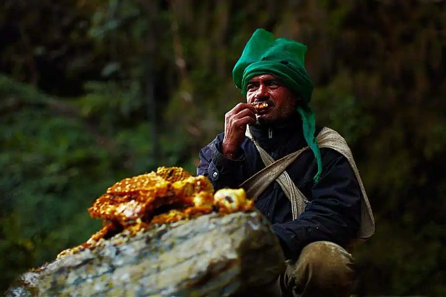 The Hallucinogen Honey Hunters of The Himalayan Mountains, Image Source: www.zmescience.com