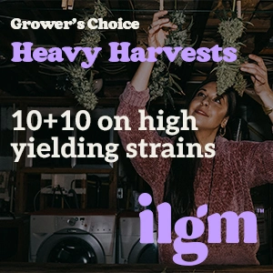 ilgm banner