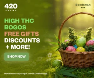 SEEDSMAN BANNER