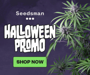 seedsman banner