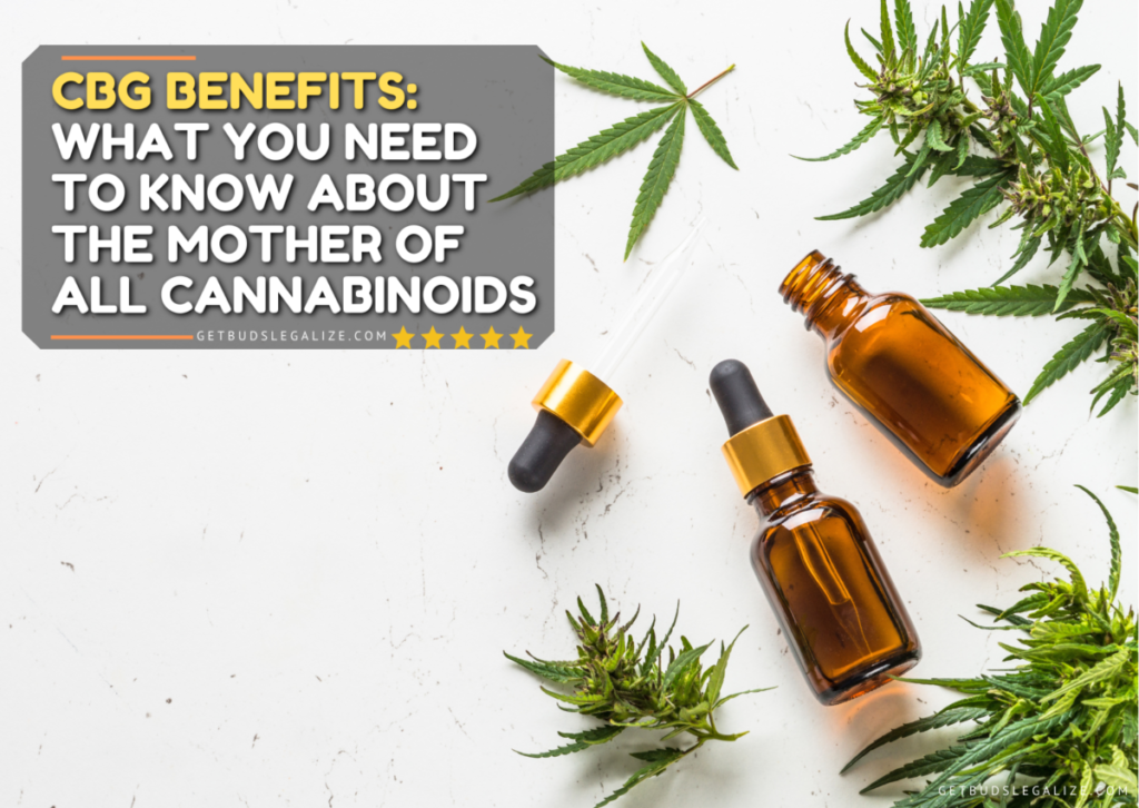 CBG Benefits: What You Need to Know About the Mother of All Cannabinoids
