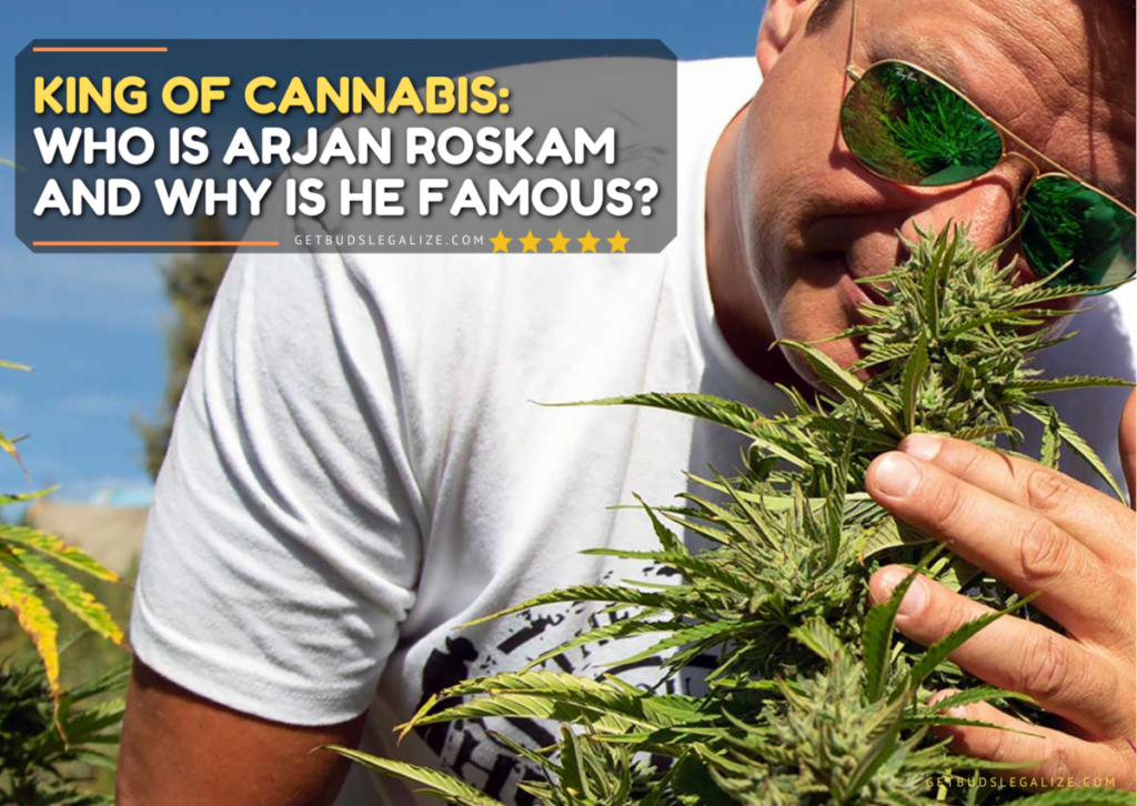 King of Cannabis: Who is Arjan Roskam and Why is He Famous?