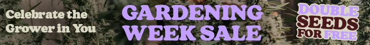 ilgm banner