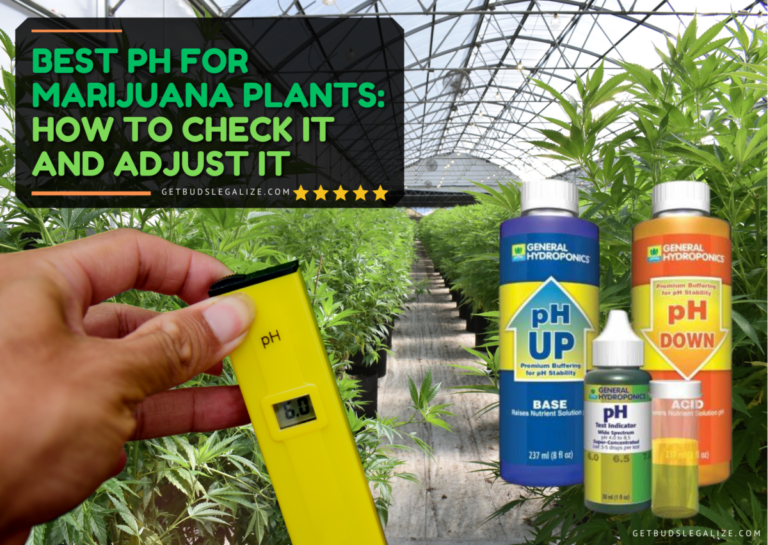 best-ph-for-marijuana-plants-how-to-check-it-and-adjust-it