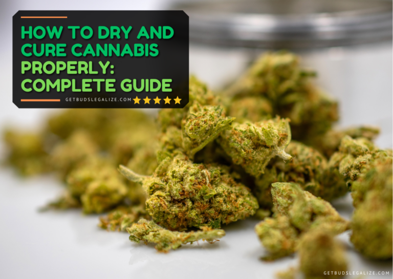 How to Dry and Cure Cannabis Properly: Complete Guide - GetBudsLegalize.com