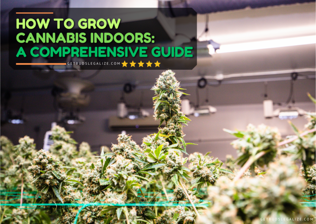 How To Grow Cannabis Indoors: A Comprehensive Guide - GetBudsLegalize.com