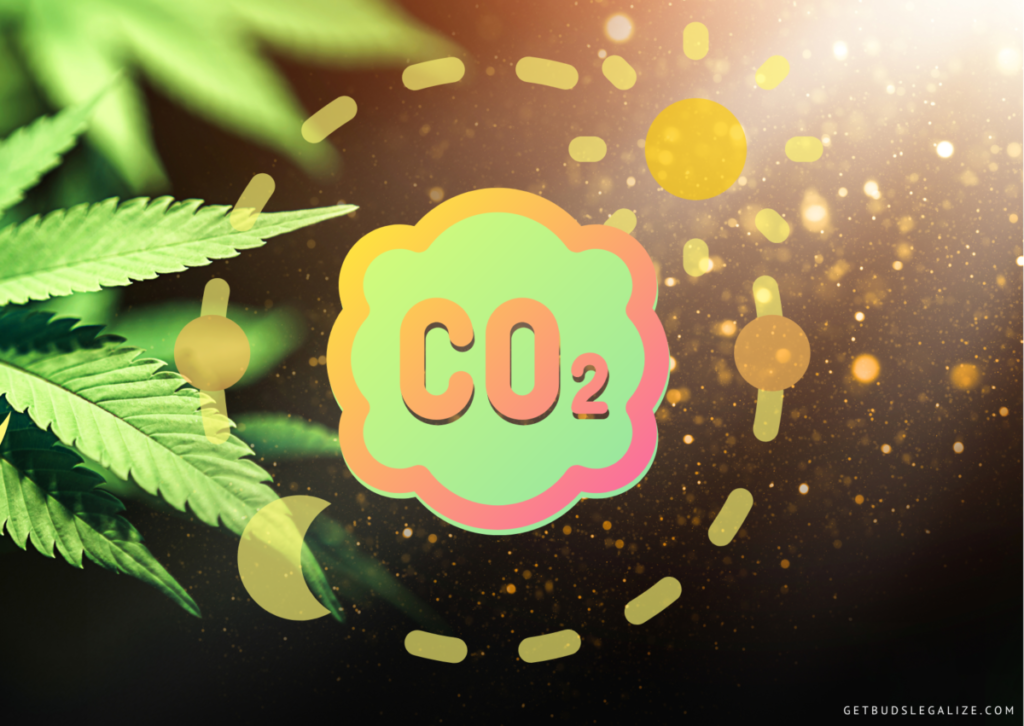 How to Use CO2 Enrichment to Increase Your Cannabis Yield 8 How to Use CO2 Enrichment to Increase Your Cannabis Yield