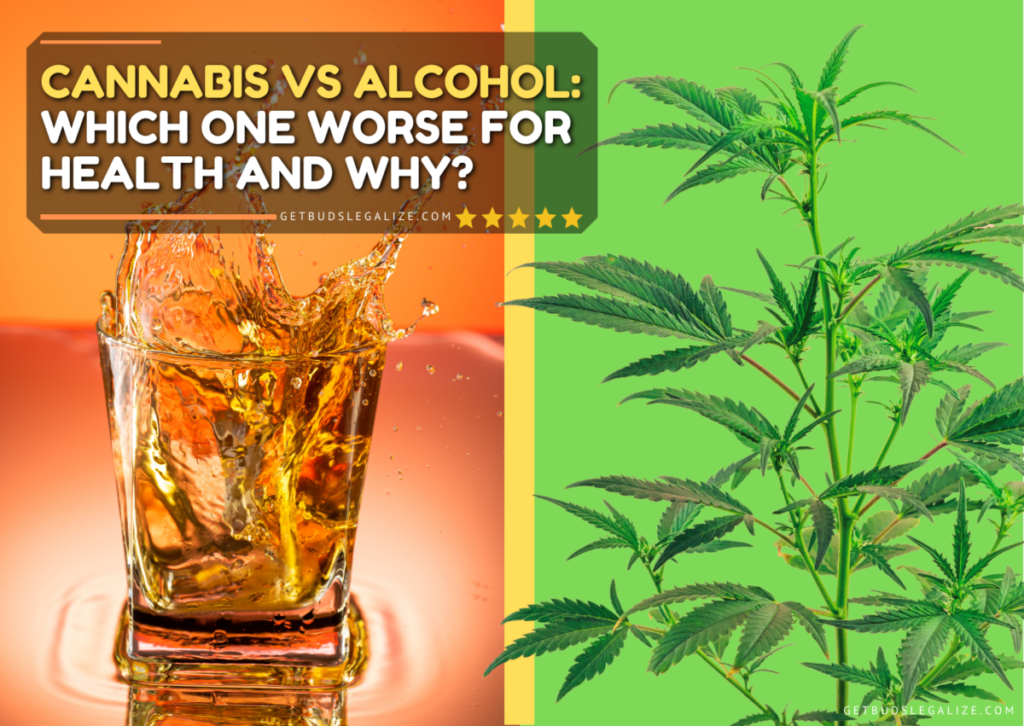 Cannabis vs Alcohol: Which One Worse for Health and Why?