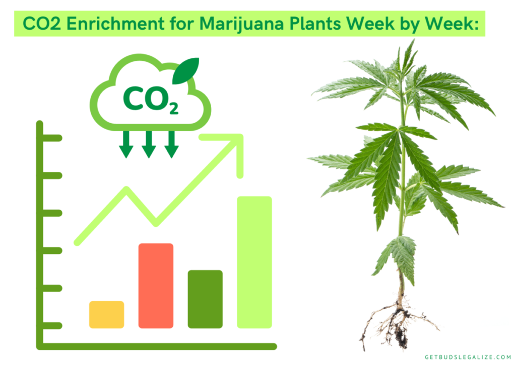 How to Use CO2 Enrichment to Increase Your Cannabis Yield ...