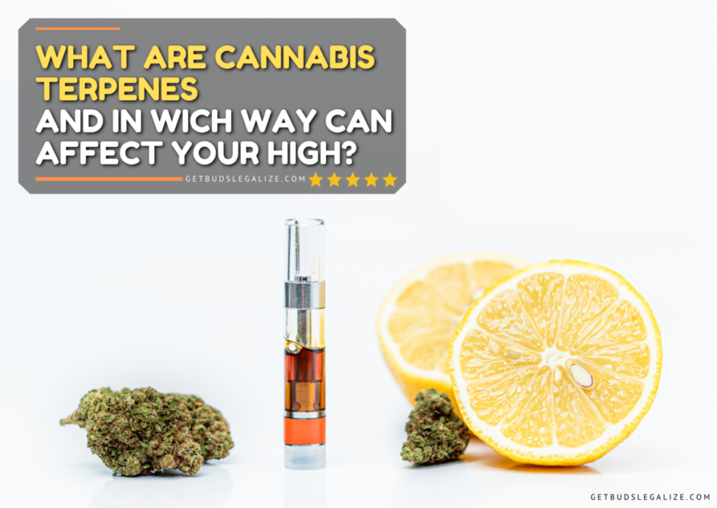 What are Cannabis Terpenes and in Wich Way Can Affect Your High?