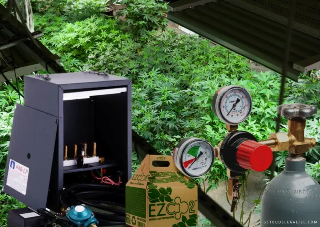 How to Use CO2 for Cannabis Plants: Boost Yield, Quality, and Growth 15 Various CO₂ delivery methods showcased in a modern indoor cannabis grow room: dry ice vapor in a tray, compressed CO₂ tank with tubing, and a CO₂ generator unit. Digital ppm meter, oscillating fans, and LED lighting complete the high-tech setup.