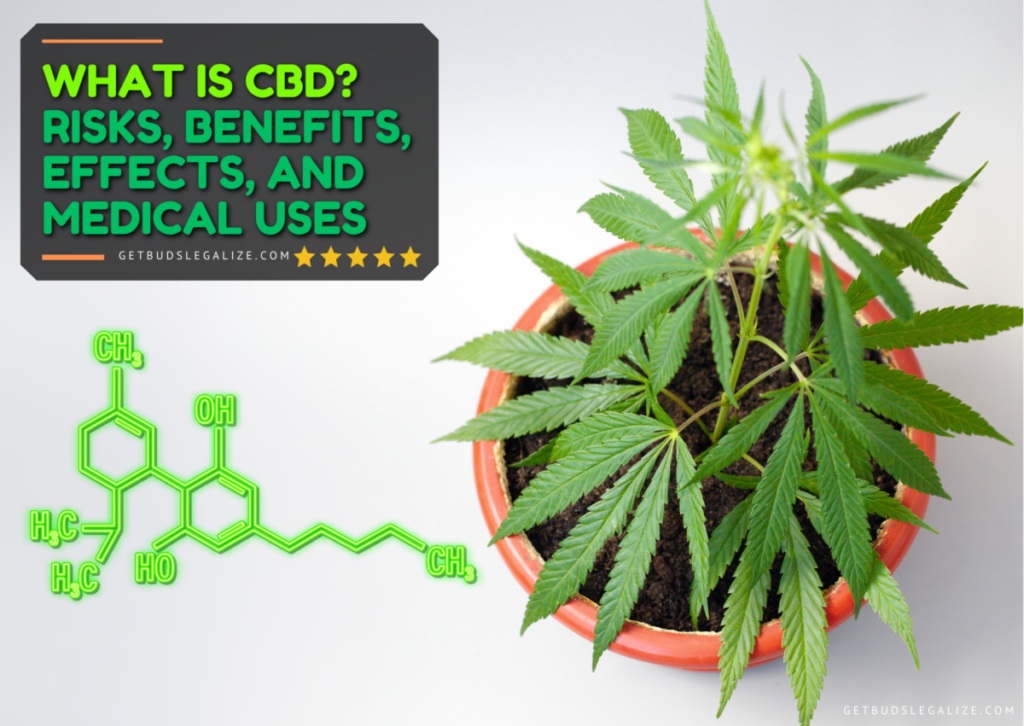 What is CBD? Risks, Benefits, Effects, and Medical Uses