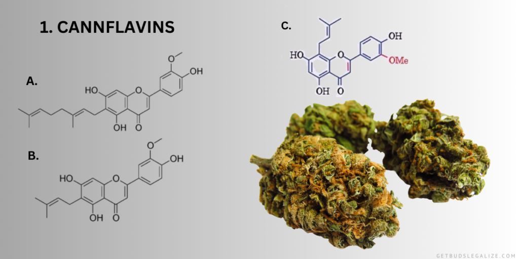 1. Cannflavins A, B, C:, mARIJUANA , Flavonoids