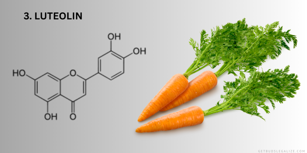 Luteolin , mARIJUANA , Flavonoids