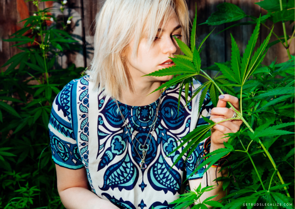 Why Does Weed Smell Skunky? A Guide to Cannabis Aromas