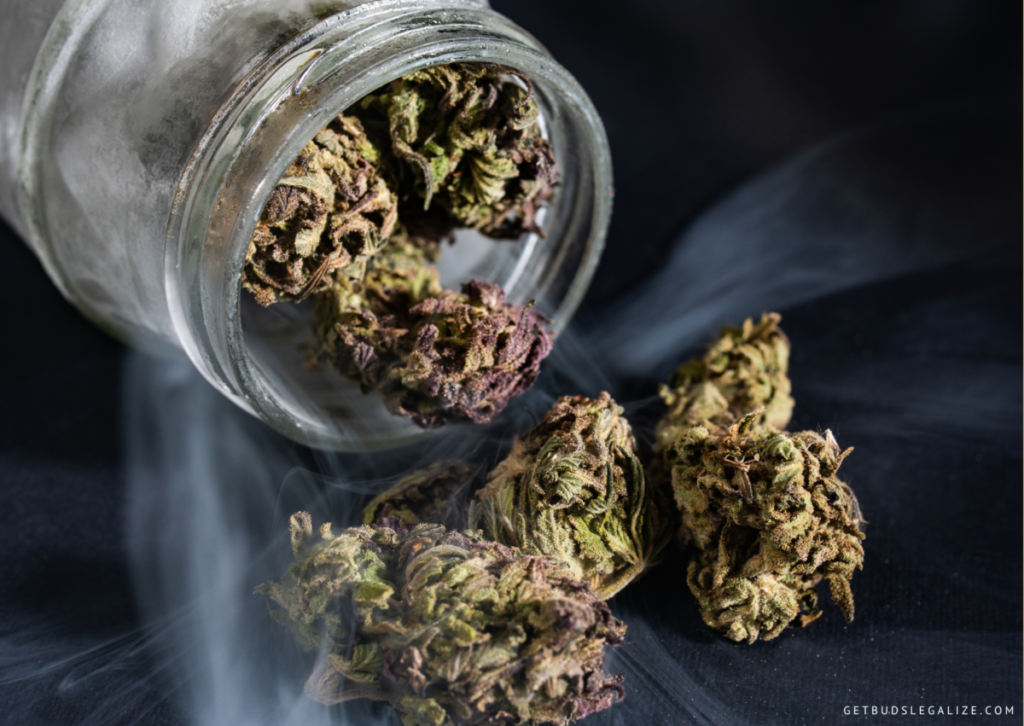 Why Does Weed Smell Skunky? A Guide to Cannabis Aromas