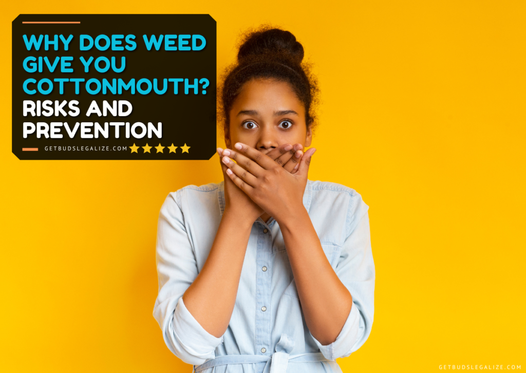 Why Does Weed Give You Cottonmouth? Risks and Prevention