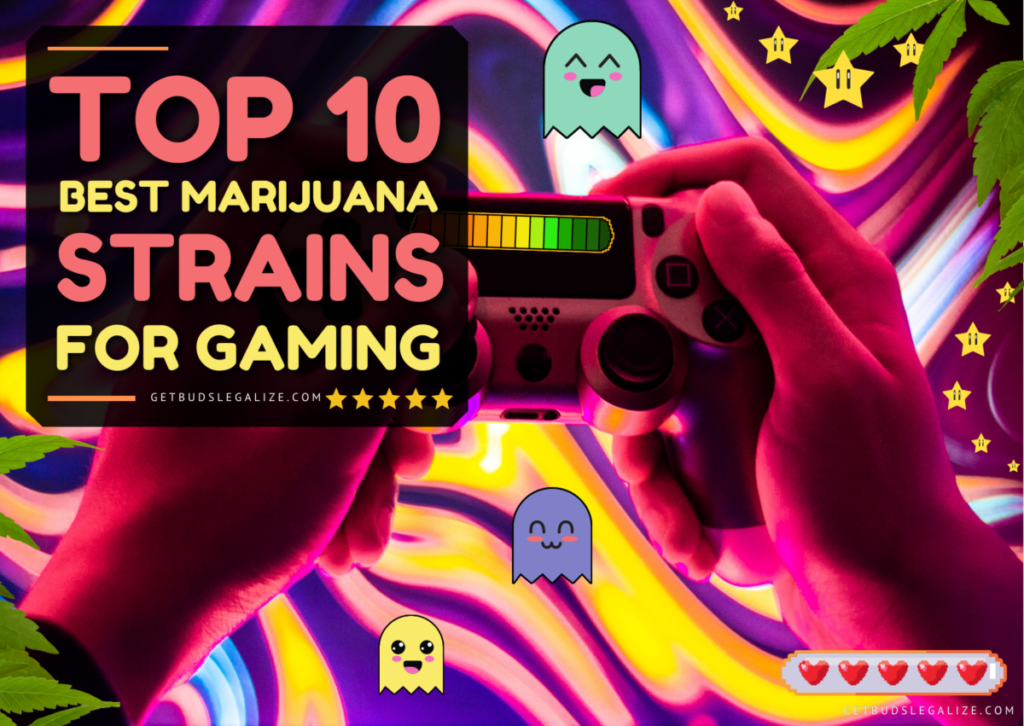 Top 10 Best Strains for Gaming: The Definitive Guide