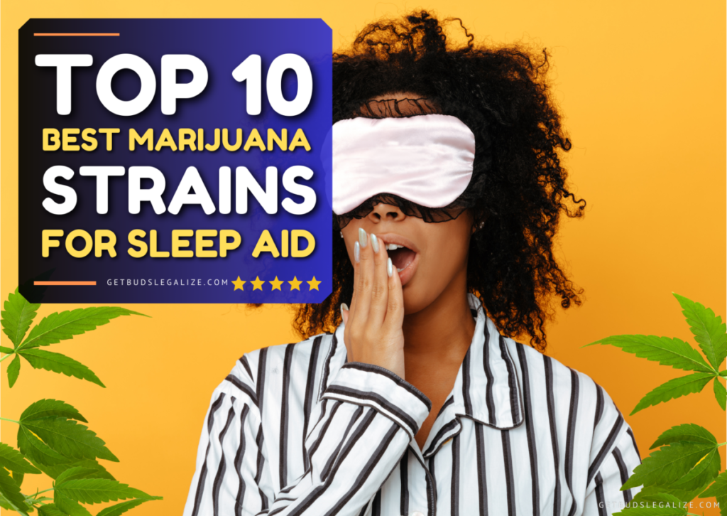 Top 10 Best Marijuana Strains for Sleep Aid: The Definitive Guide