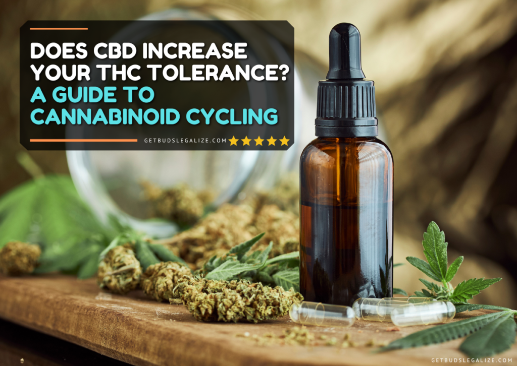 Does CBD Increase Your THC Tolerance? A Guide to Cannabinoid Cycling