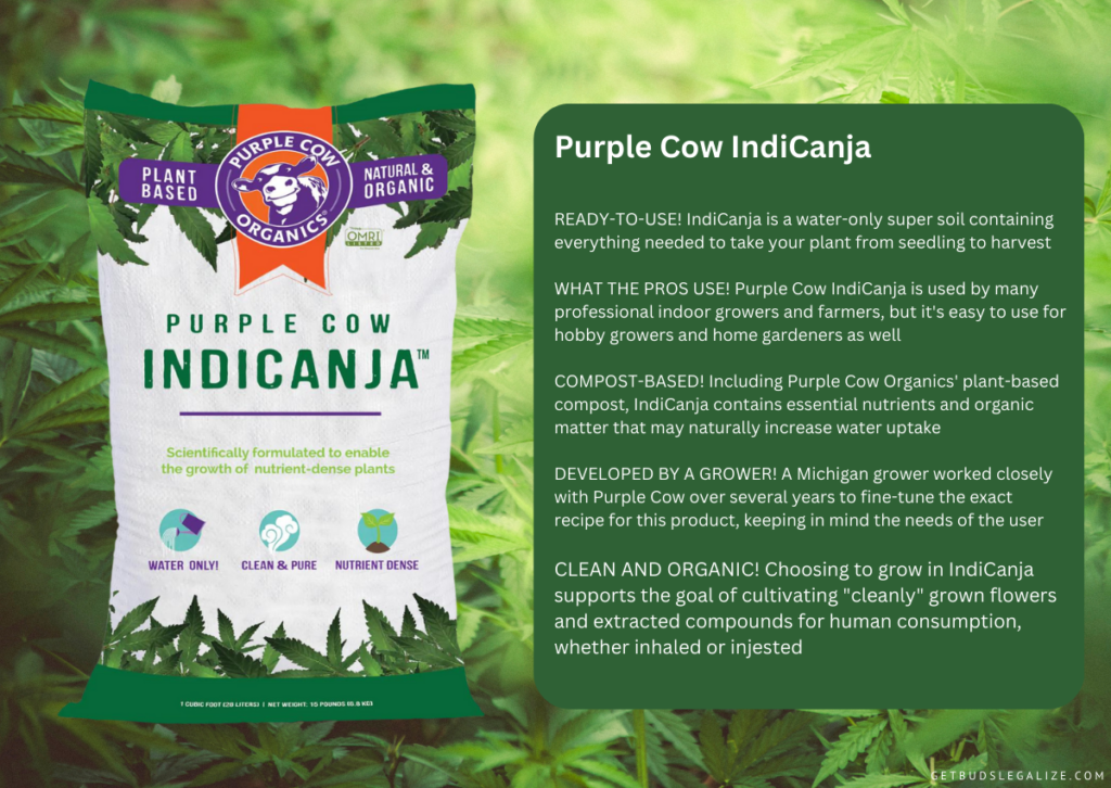 Purple Cow IndiCanja Organic Compost Soil, cannabis, marijuana, weed, pot, soil pot mix