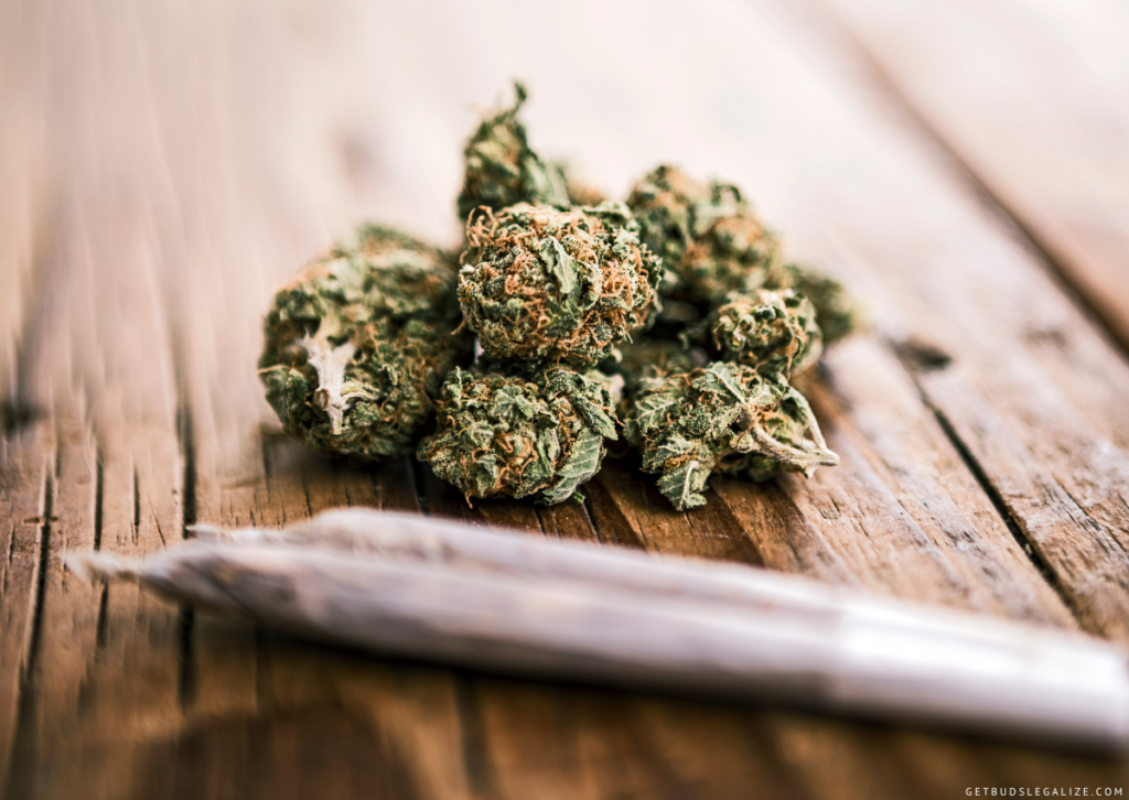 Why Does Weed Make Some People Paranoid and What Can I Do About It? 5 Why Does Weed Make Some People Paranoid and What Can I Do About It?, CANNABIS, MARIJUANA, JOINT, SPLIFF
