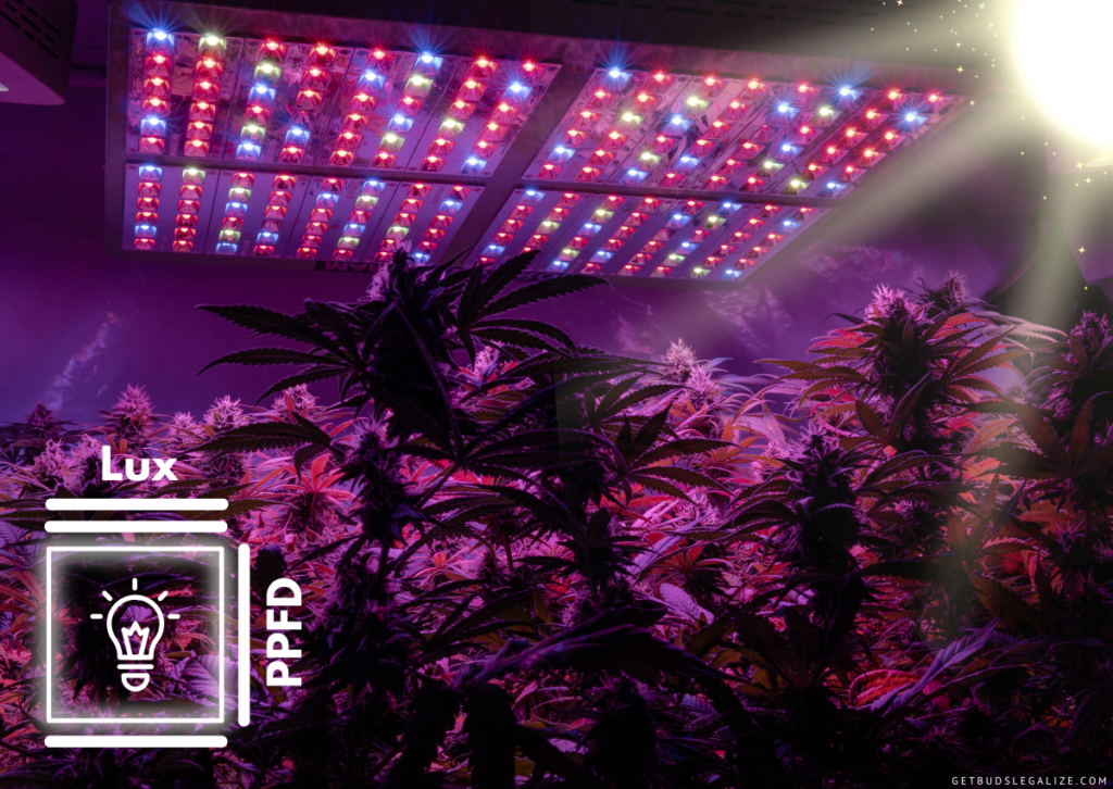 How To Use A Lux Meter to Maximize The Yield Of Your Cannabis Plants! 5 How To Use A Lux Meter to Maximize The Yield Of Your Cannabis Plants!