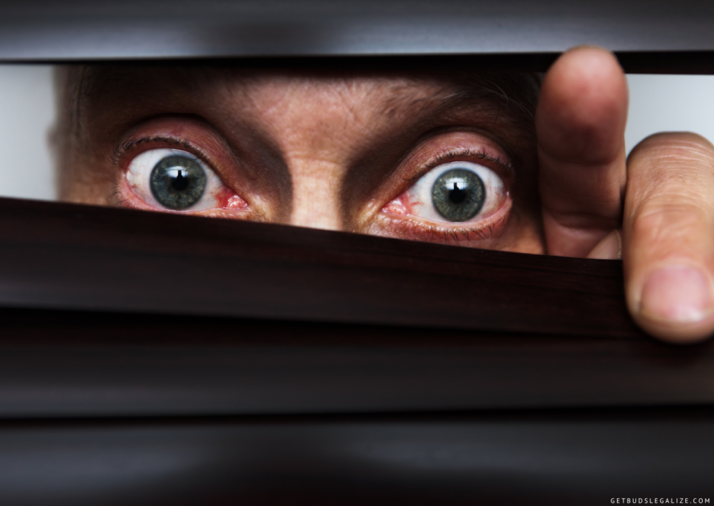 Why Does Weed Make Some People Paranoid and What Can I Do About It? 9 Why Does Weed Make Some People Paranoid and What Can I Do About It?, CANNABIS, MARIJUANA, JOINT, SPLIFF