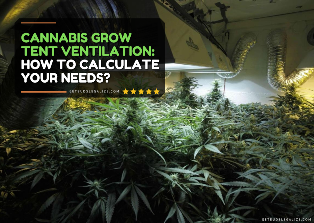 Cannabis Grow Tent Ventilation: How to Calculate Your Needs?