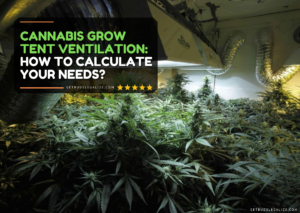 Cannabis Grow Tent Ventilation: How to Calculate Your Needs?