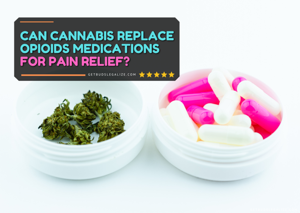 Can Cannabis Replace Opioids Medications for Pain Relief?