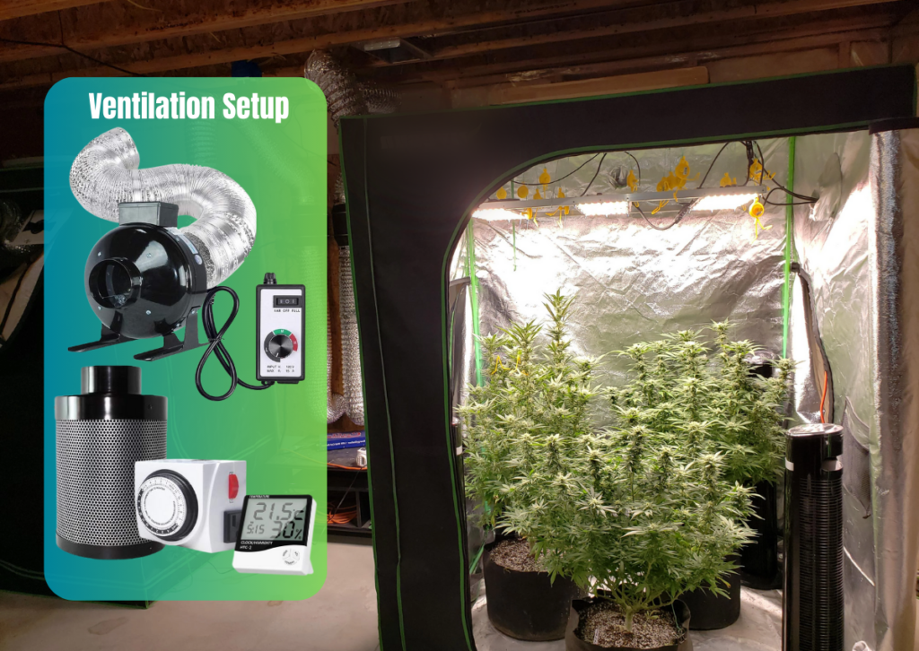 Cannabis Grow Tent Ventilation Guide: How to Calculate Your Needs? 12 Cannabis Grow Tent Ventilation: How to Calculate Your Needs?