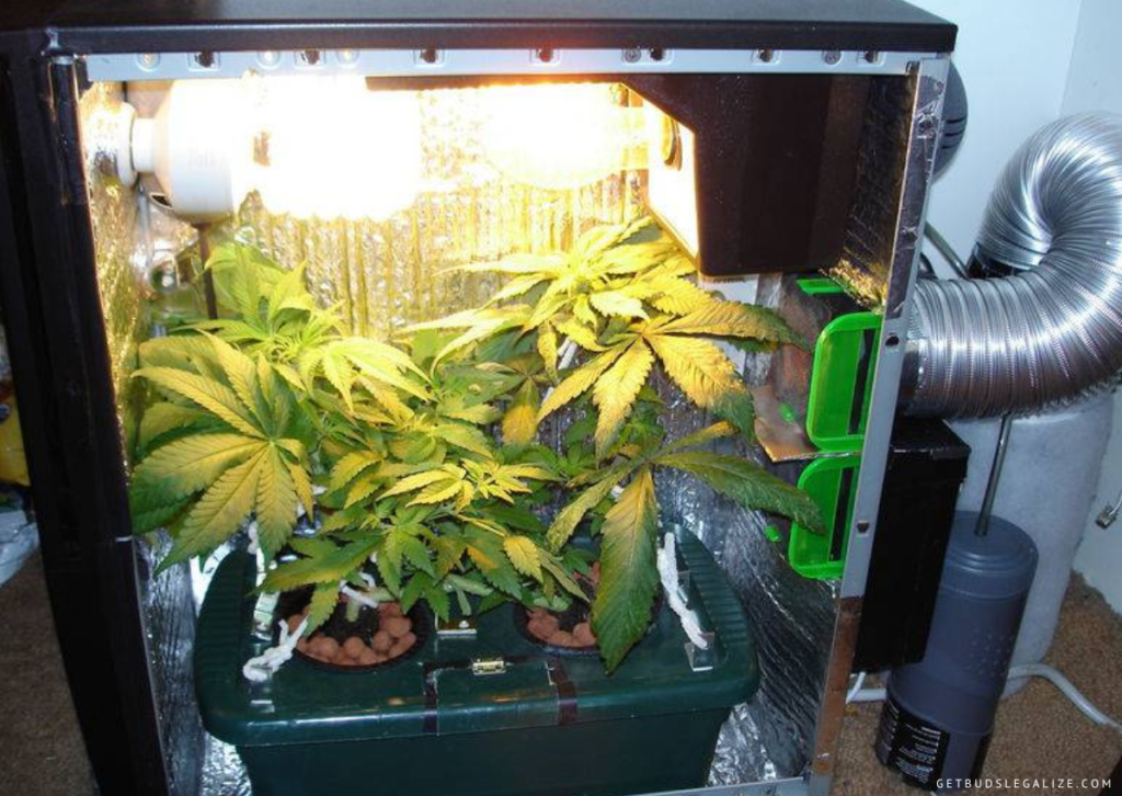 Cannabis Grow Tent Ventilation Guide: How to Calculate Your Needs? 16 How to Ventilate a Micro Cannabis Grow, Pc marijuana grow