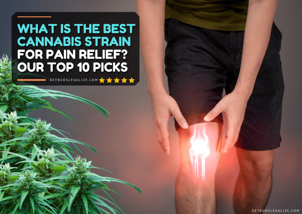 What Is The Best Cannabis Strain for Pain Relief? Our Top 10 Picks