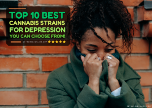 Top 10 Best Cannabis Strains for Depression You Can Choose From!